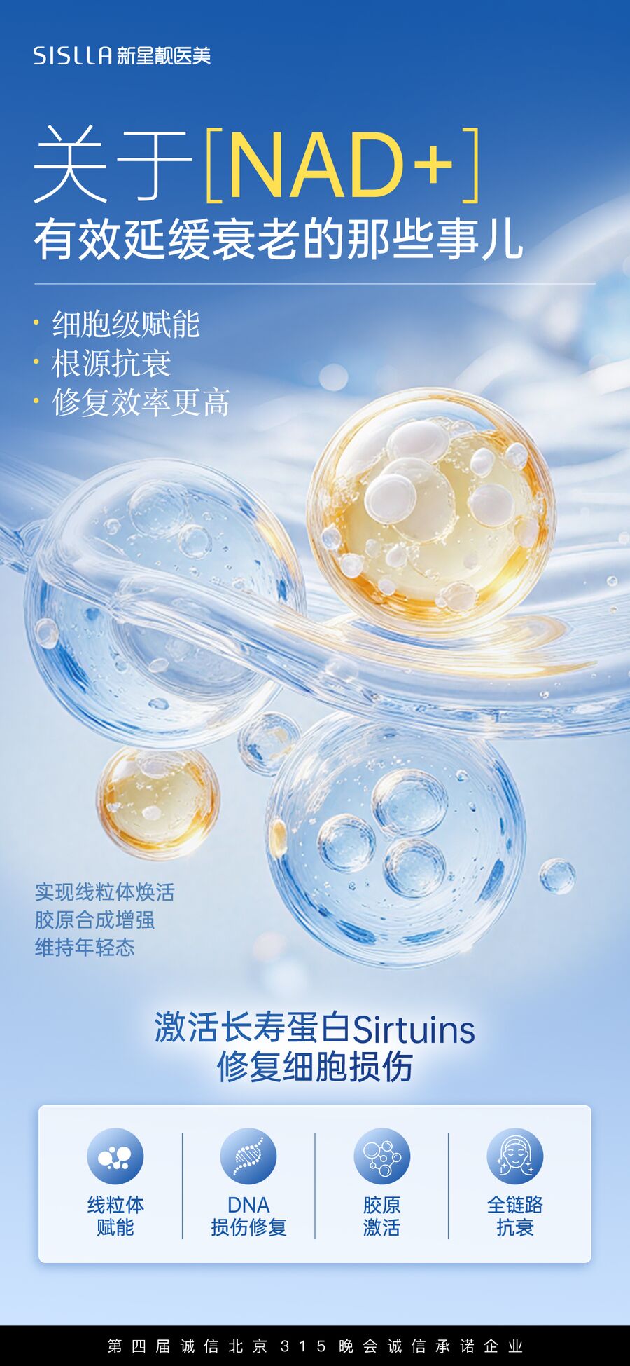 整形外科视觉 59